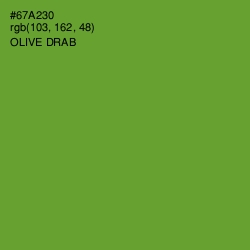 #67A230 - Olive Drab Color Image